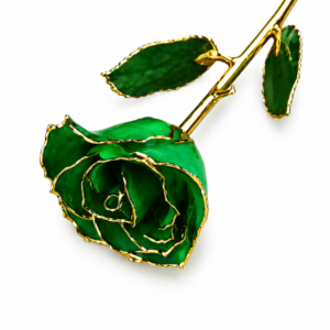 Rosa Verde Eterna Natural En Baño de Oro 24k Flor De Adorno Regalos
