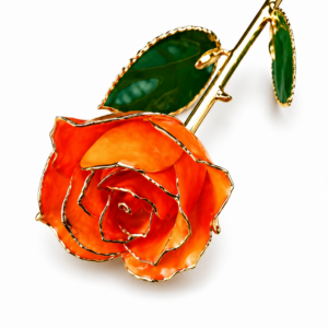 Rosa Naranja  Eterna Natural En Baño de Oro 24k Flor De Adorno Regalos