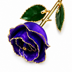 Rosa Morada  Eterna Natural En Baño de Oro 24k Flor De Adorno Regalos