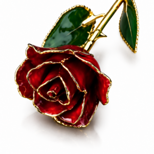 Rosa Roja Eterna Natural En Baño de Oro 24k Flor De Adorno Regalos