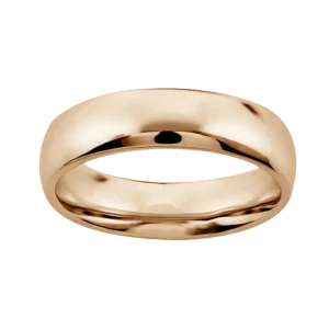 Argolla 10kt Oro lisa de 5mm