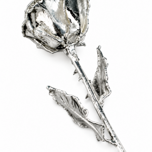 Rosa Plateada Eterna Natural En Baño Completo de Plata Flor De Adorno Regalos