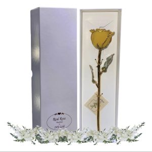 Rosa Amarilla Eterna Natural En Baño de Oro 24k Flor De Adorno Regalos