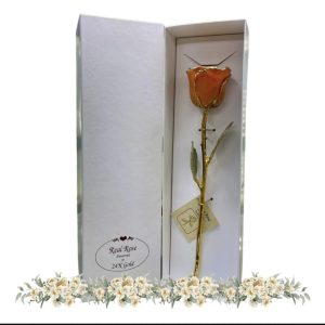 Rosa Naranja  Eterna Natural En Baño de Oro 24k Flor De Adorno Regalos