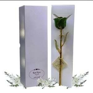 Rosa Verde Eterna Natural En Baño de Oro 24k Flor De Adorno Regalos