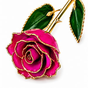 Rosa Fucsia Eterna Natural En Baño de Oro 24k Flor De Adorno Regalos