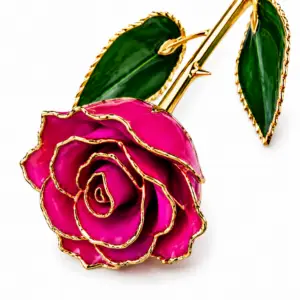 Rosa Fucsia Eterna Natural En Baño de Oro 24k Flor De Adorno Regalos